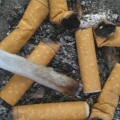 Surviving Kensington