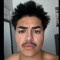 adolf_jitler