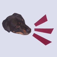 Bedddog 3