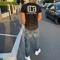 Thierry 08