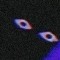 voiN