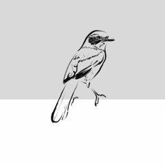 The Wind-Up Sweetheart