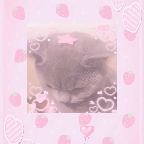 Alice_Kitty_Cat’s avatar