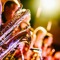Dana Music
