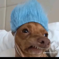 Charritoloco122