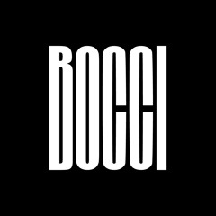 Luca Boccedi