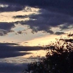 pollo123456789101112131415161718192021222324252627