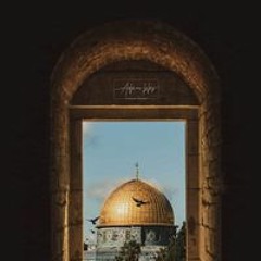 Ali Allahham
