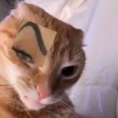 MEOW ;¹