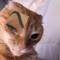 Meow :3