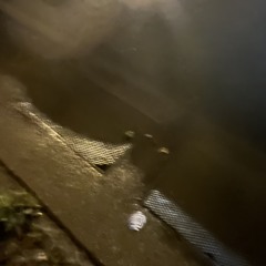 out the way