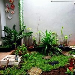 Budi Santosa