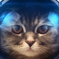 Cat In The Space 3
