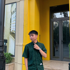 duck duy