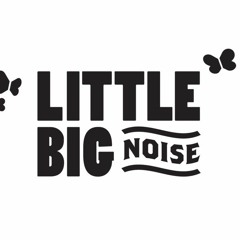 Little Big Noise