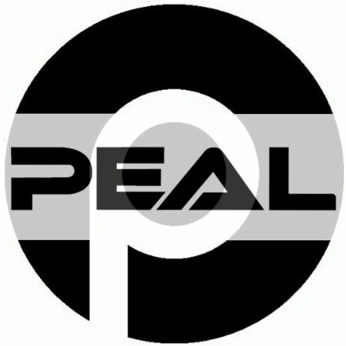 dj peal (Neil Winthrop)’s avatar