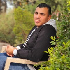 Amr Ahmed