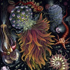 Hypnagogic