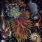 Hypnagogic