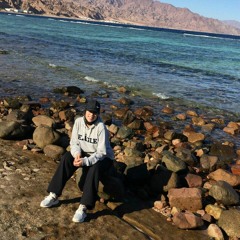 Habeba Gamal