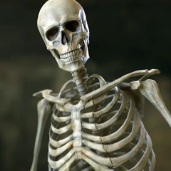 Kostya skeletrix