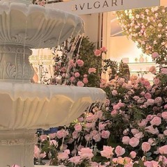 Angel ~DreamSushi!♡~ DW Fan