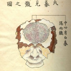 noe