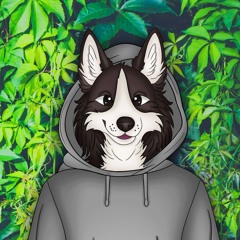 DJ WOLFY