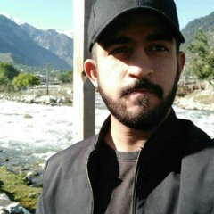 Hamza hameed