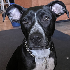 JACCBOYZ x Only1neFamily