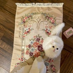 فاطمة إبراهيم