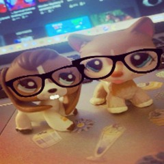 ОТБРОСИК ЛЮТЫЙ