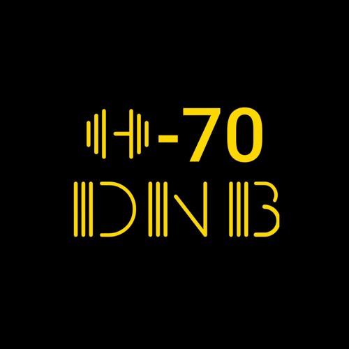 H-70’s avatar