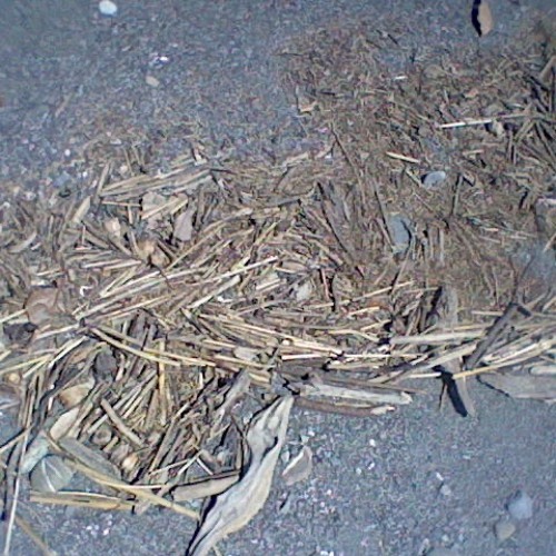 8~15,^-20-50.23,24,25_15.26,27-15^38-.39-.49-16.52,54-15