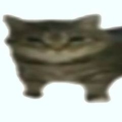 ..........