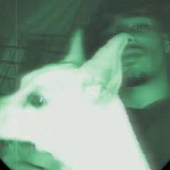 محمد عدنان جلايطه