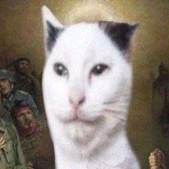 I ilke cats.