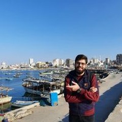 أنس بن عماد سعد