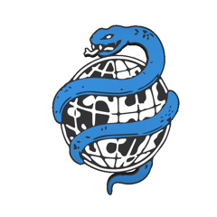 Viper Visuals