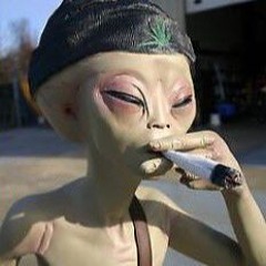 ztoneb