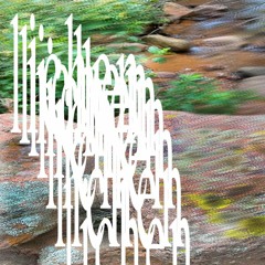 Lichen