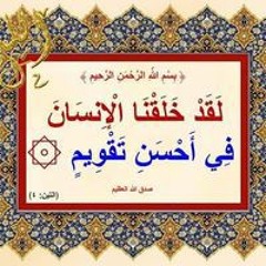 أمين هاشم لطفي