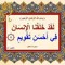 أمين هاشم لطفي
