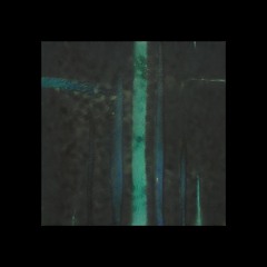 Novussurculus-freedacecan