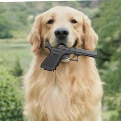 Dog With A Gun