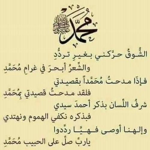 محمد شعلان’s avatar