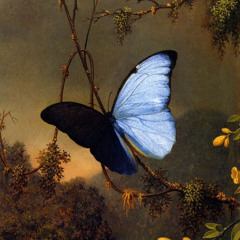 Boshra Al-issa