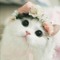 nunu 20
