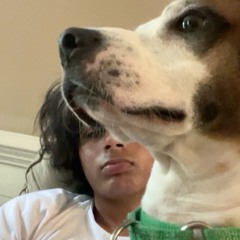 ace