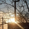 SunlightDreamer